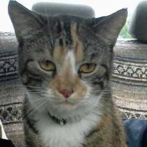 Meet your Posher, Louise